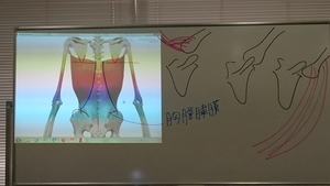 からだの実践　お勉強会。
