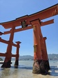 ２０２６年６月数秘メッセージ